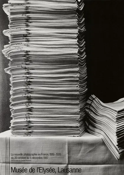 La nouvelle photographie en France, 1919-1939