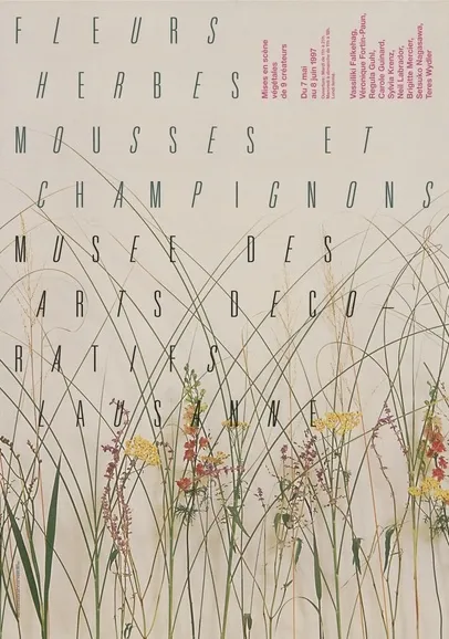 Fleurs herbes mousses et champignons