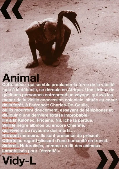 Animal