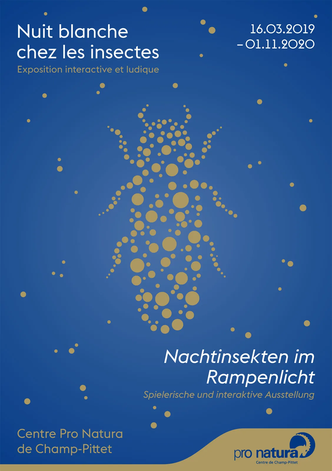 Nuit blanche chez les insectes