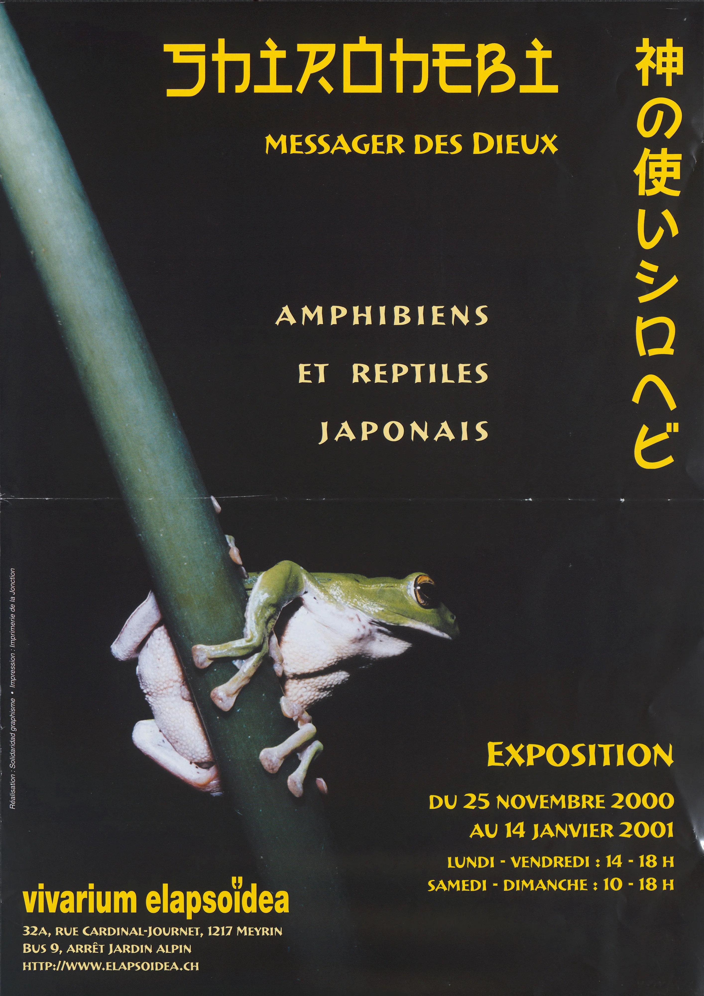 Shirohebi. Messager des dieux