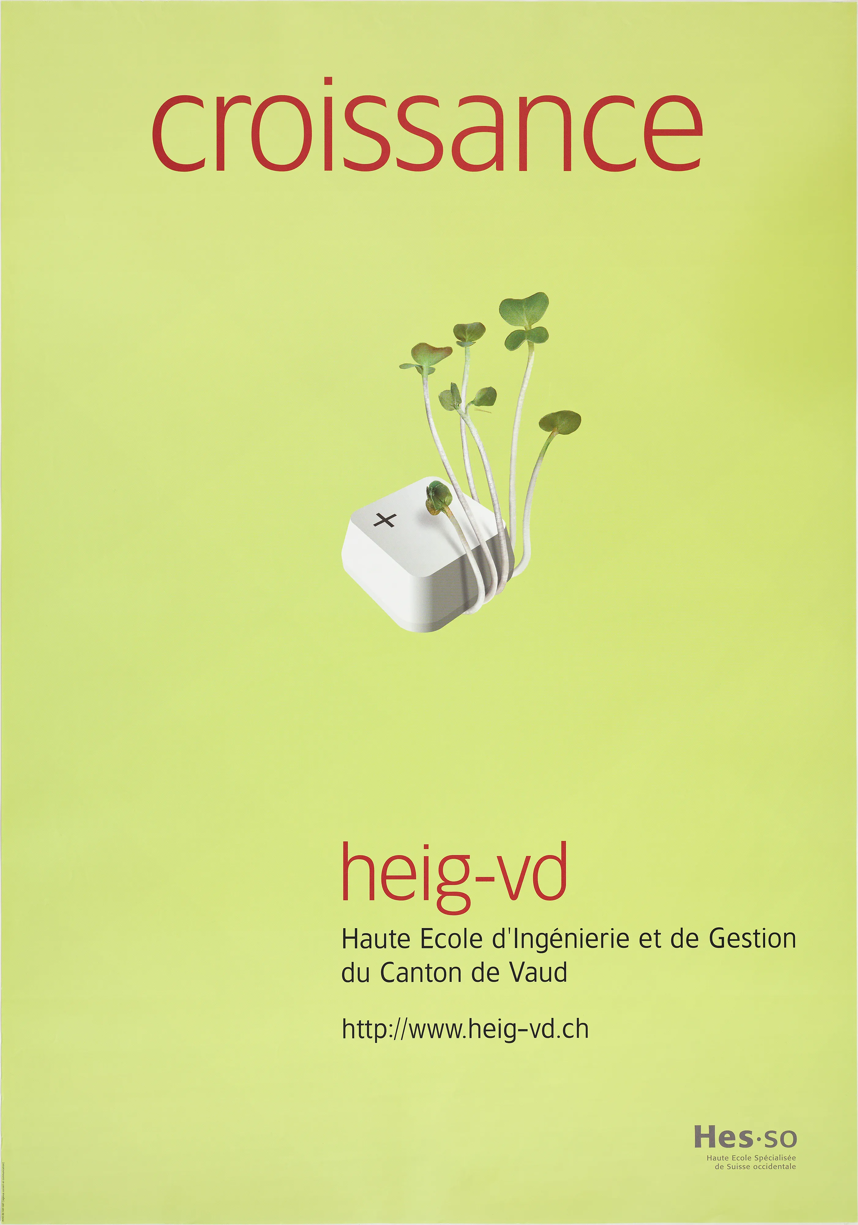 Croissance. Heig-vd