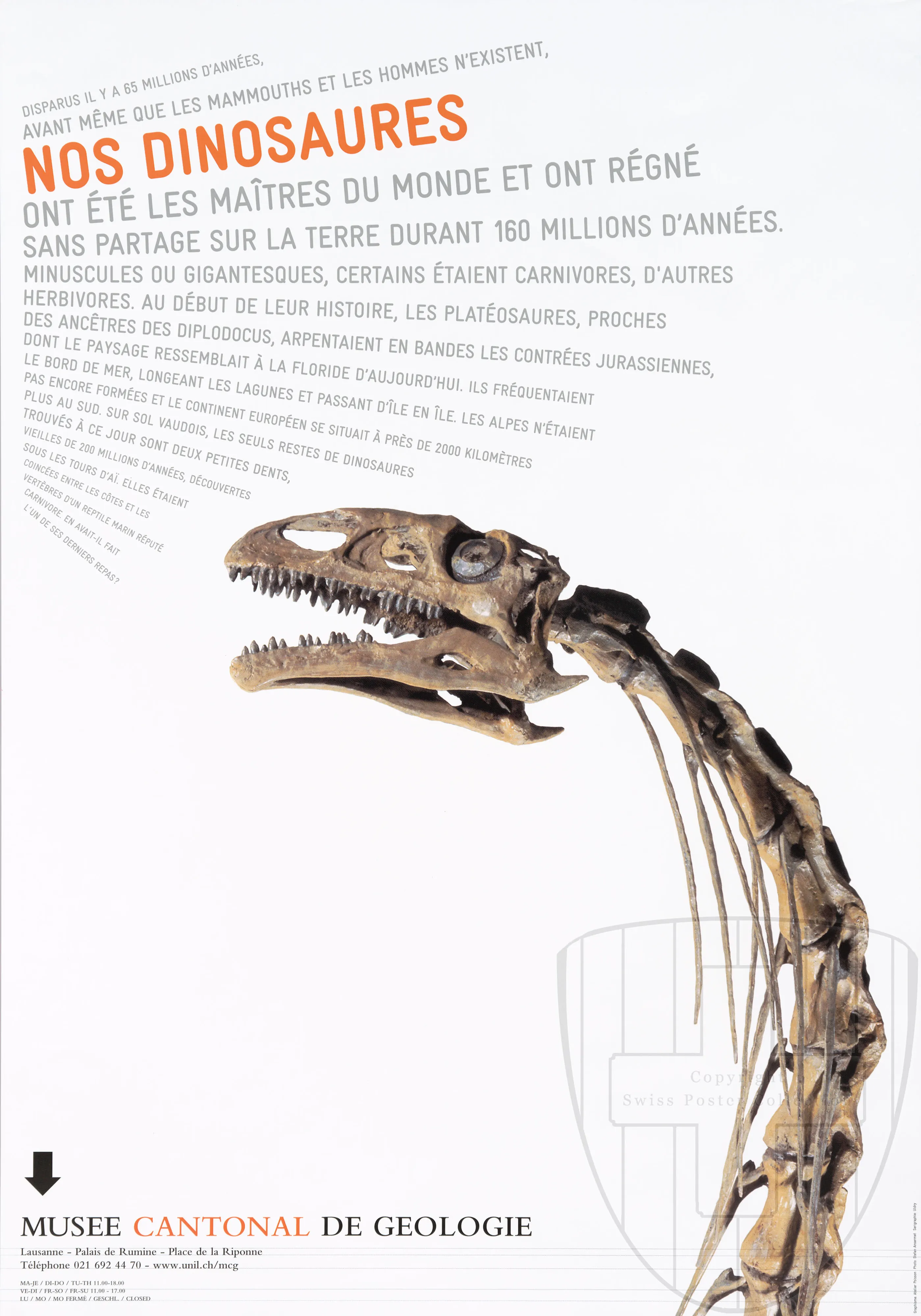 Nos dinosaures