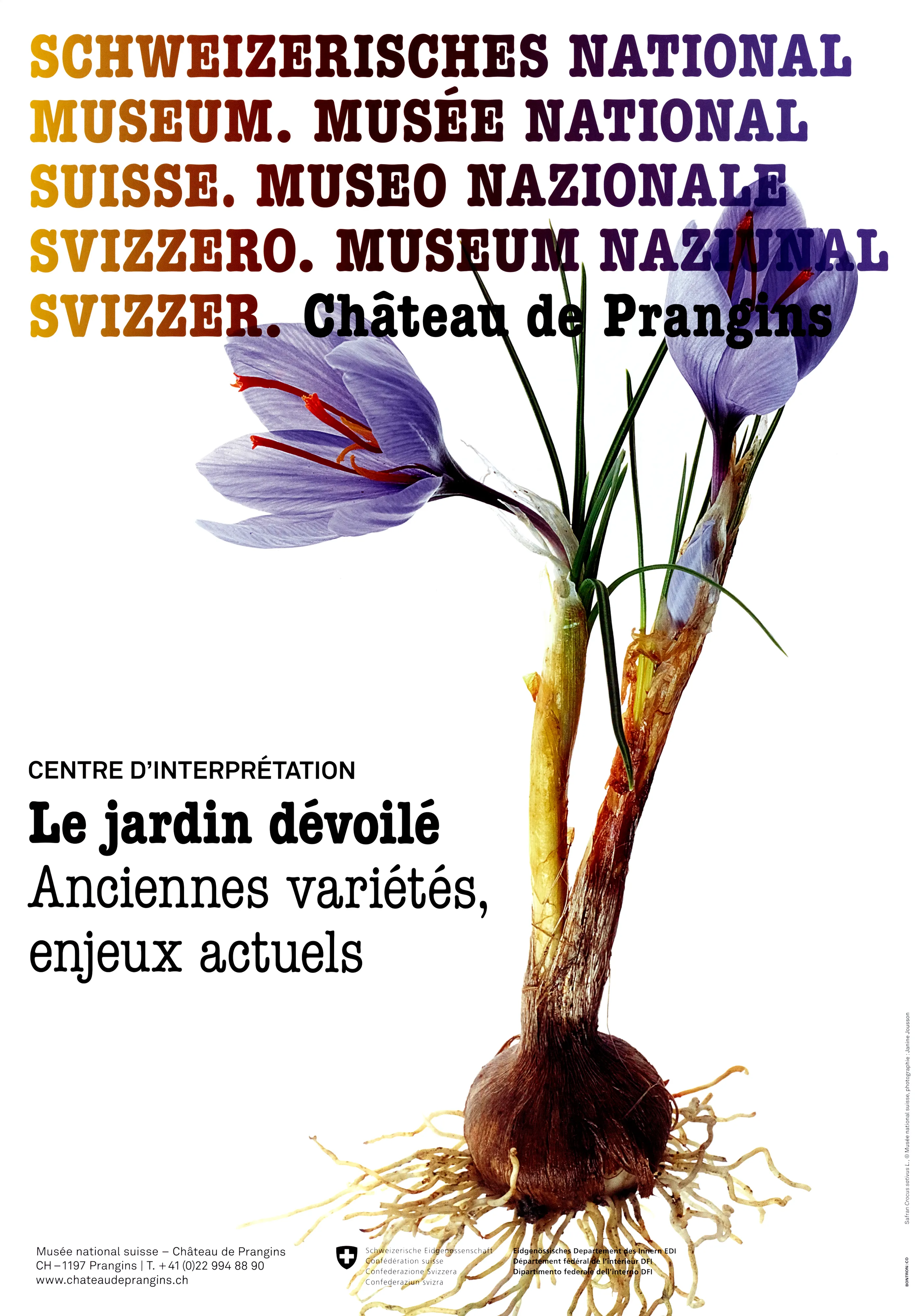 Le jardin dévoilé