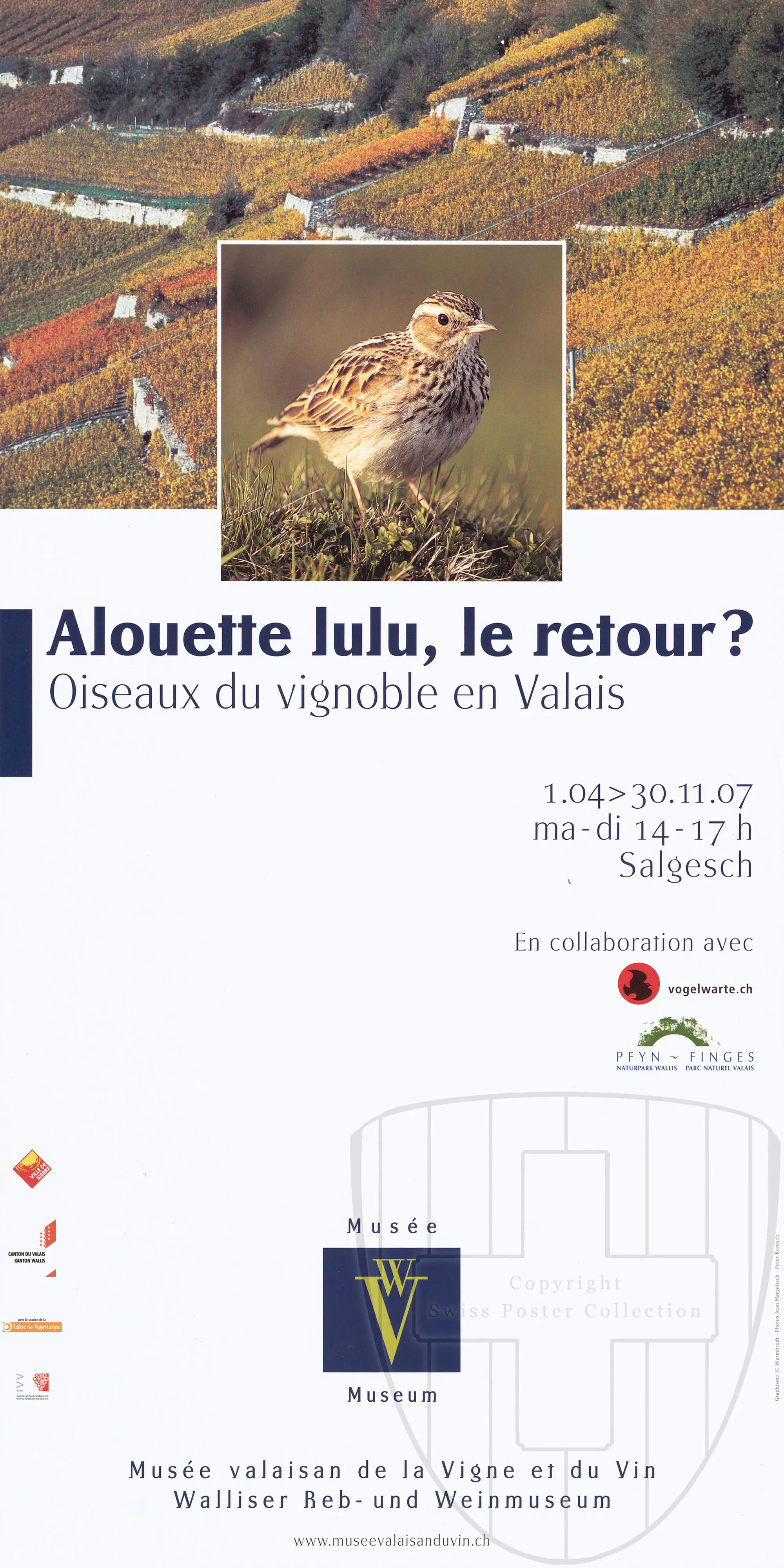 Alouette lulu, le retour?