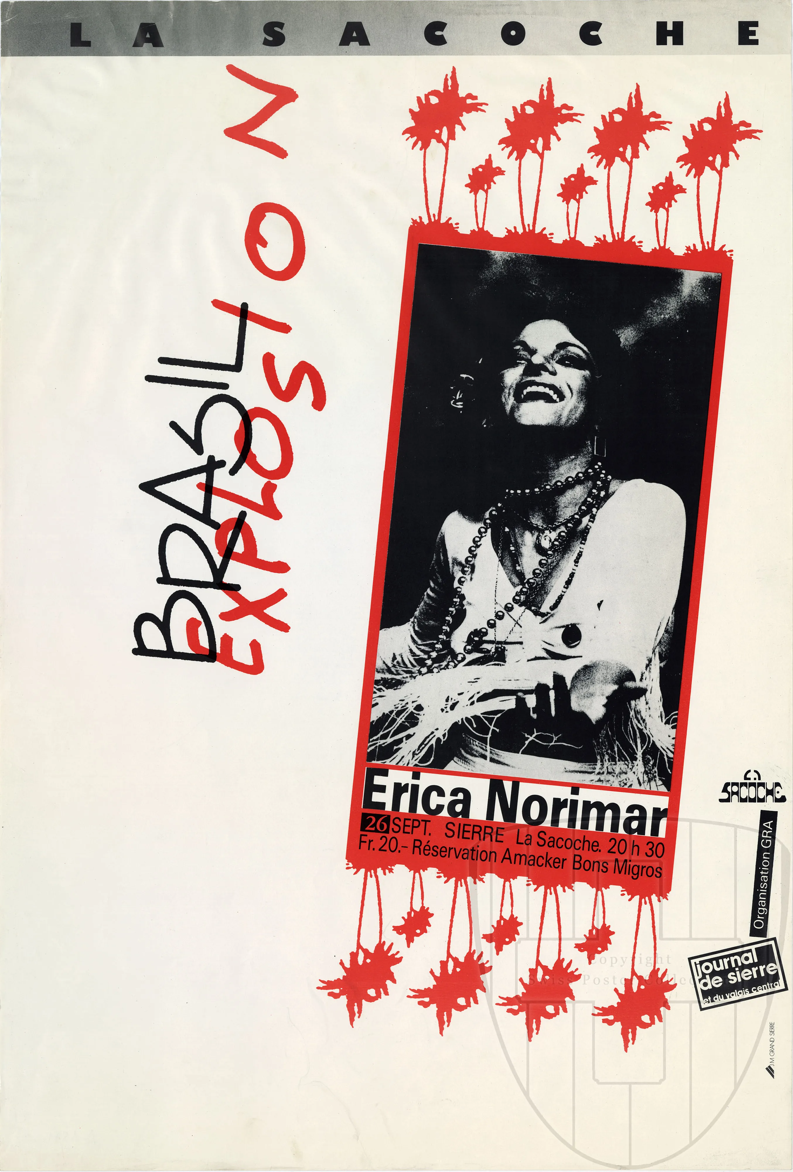 Erica Norimar Brasil Explosion, Erica Norimar