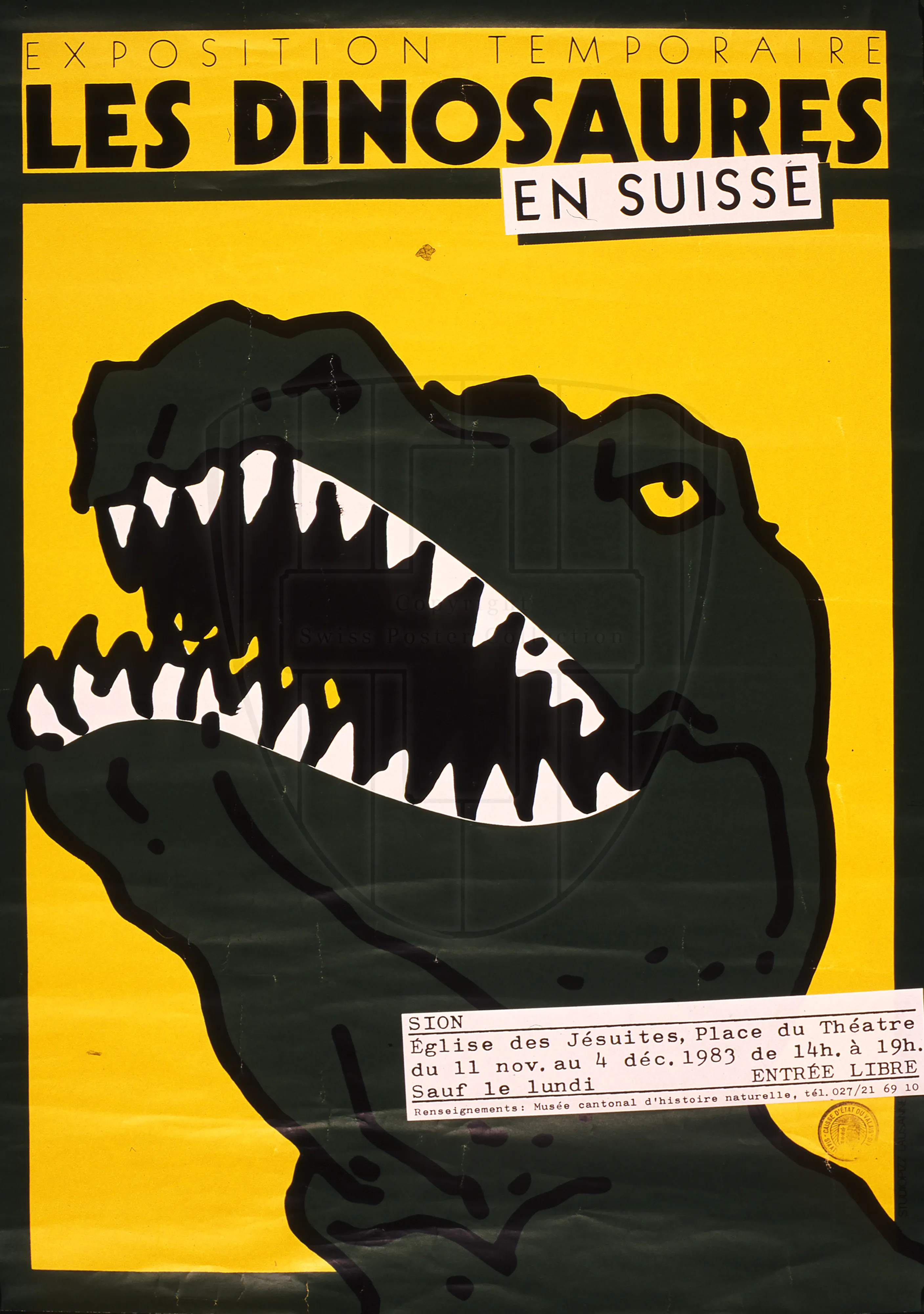 Exposition temporaire, les dinosaures