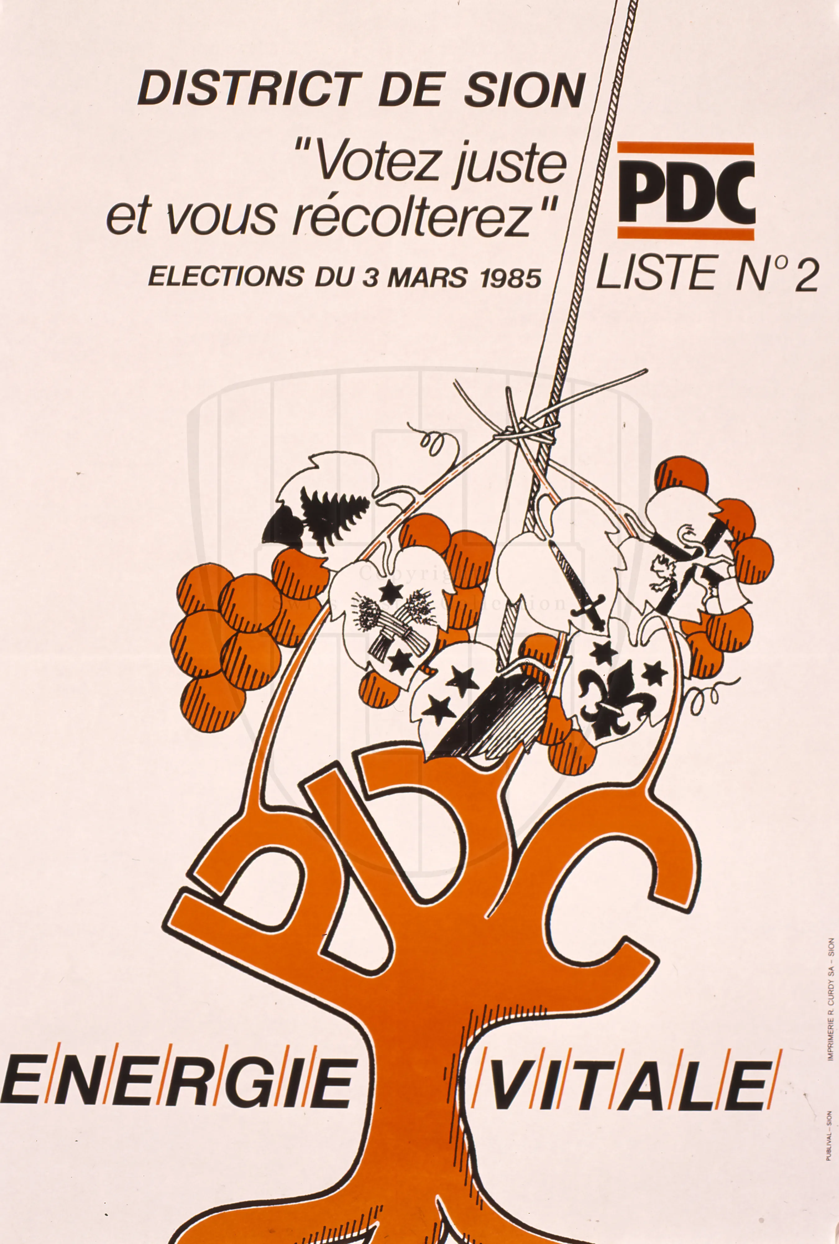 District de Sion, “Votez juste