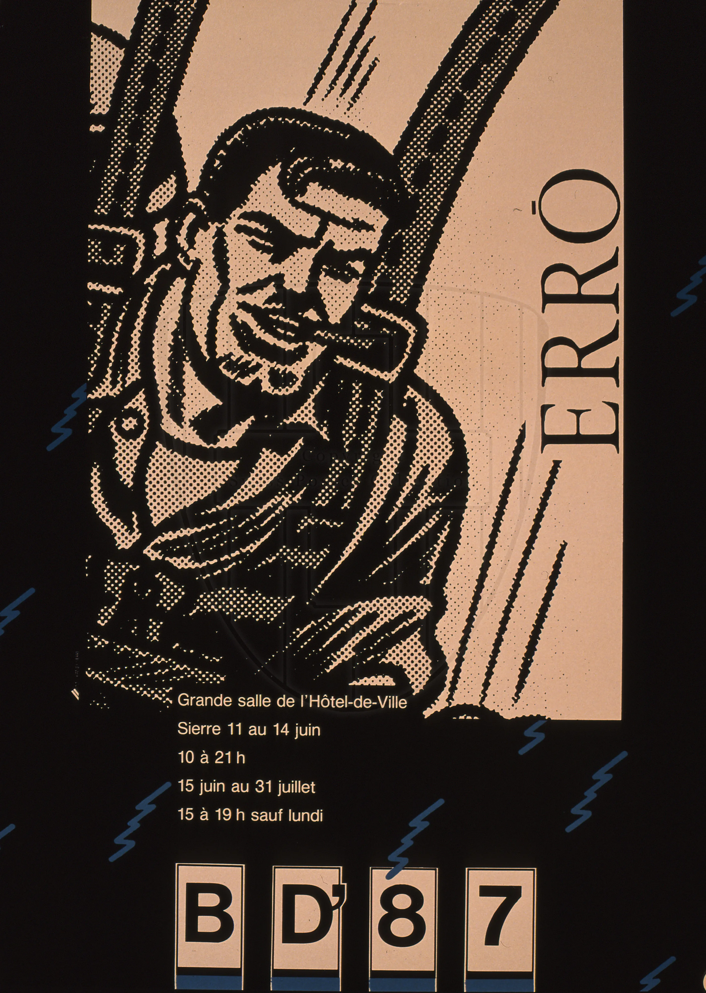 Erro, Grande salle de l’Hôtel-de-Ville