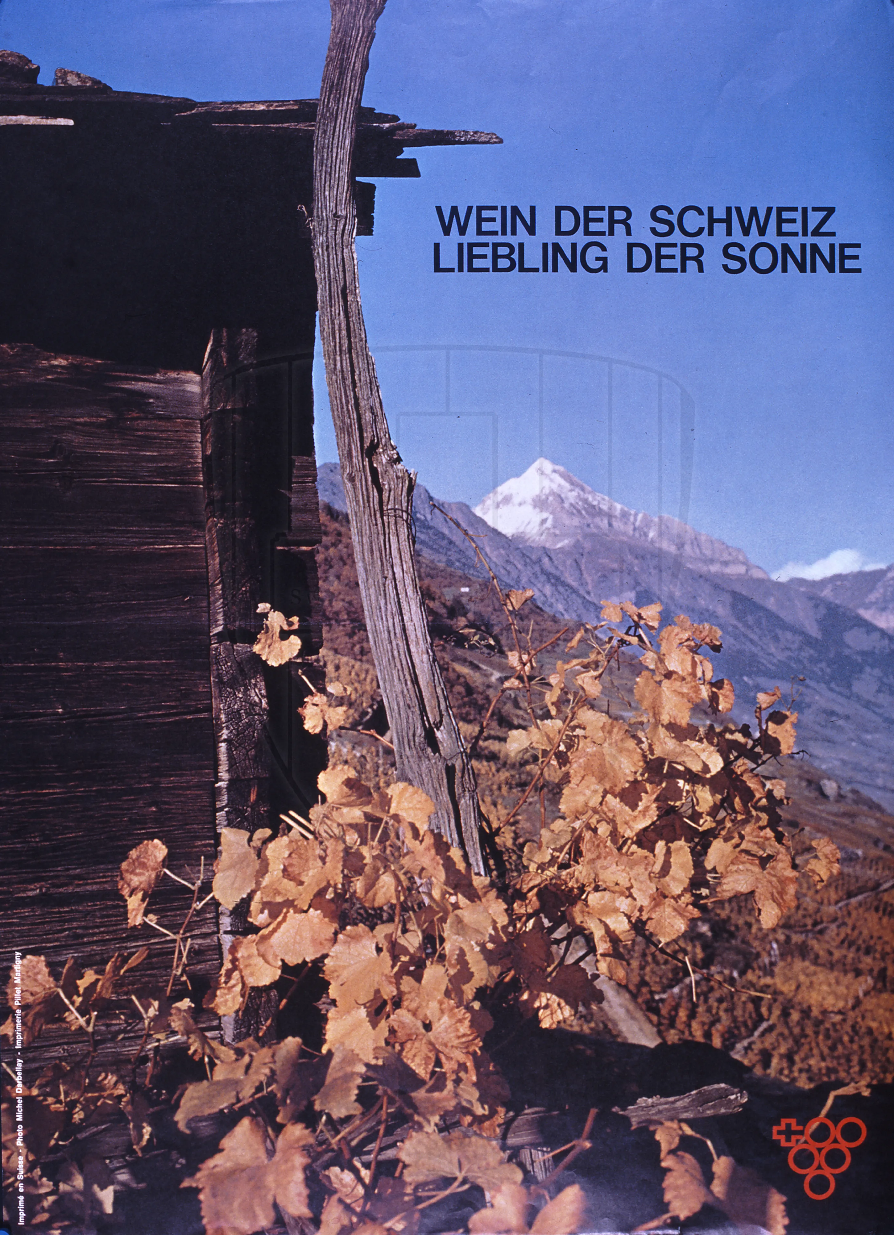 Wein der Schweiz, Liebling der Sonne