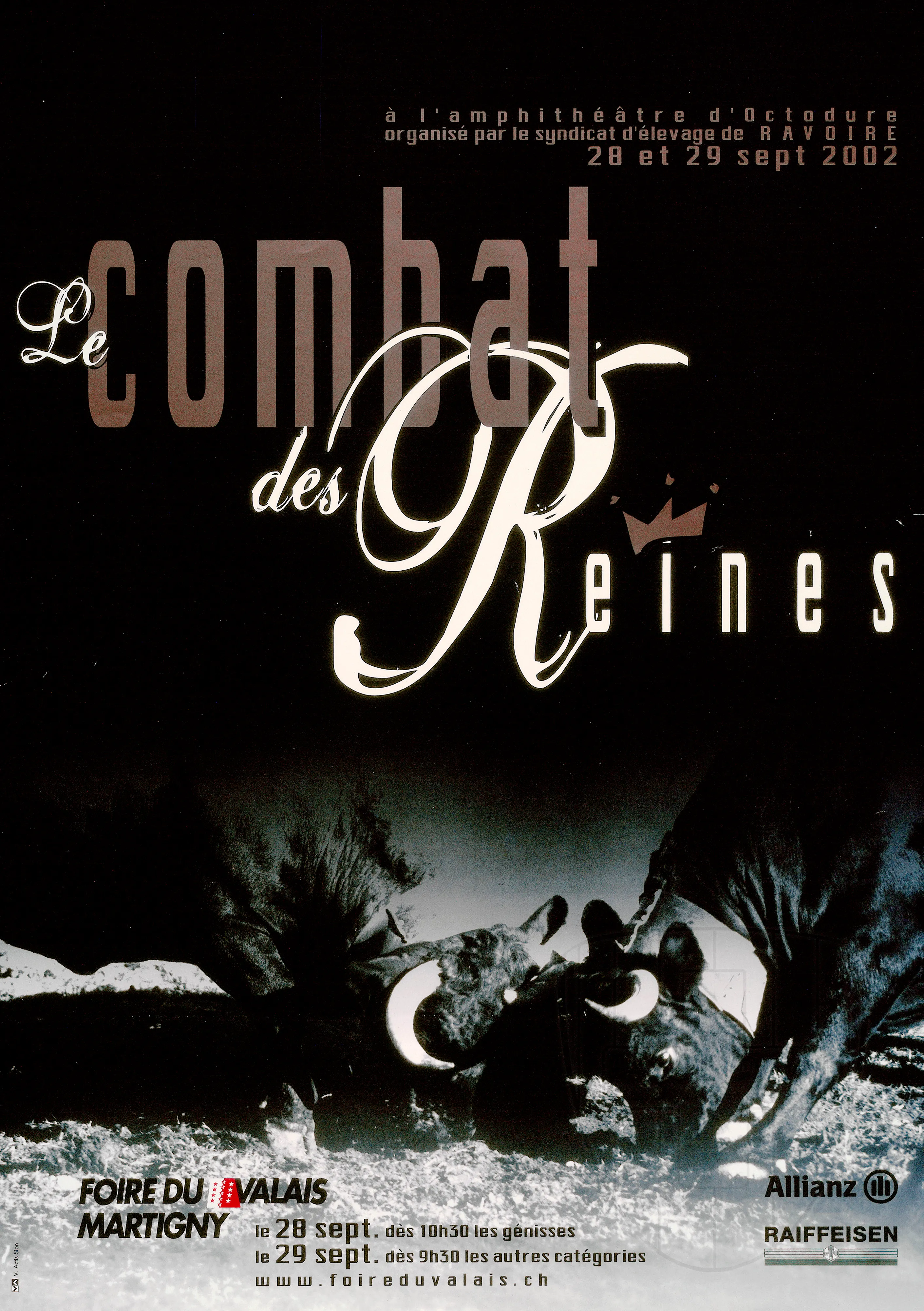 Le combat des reines