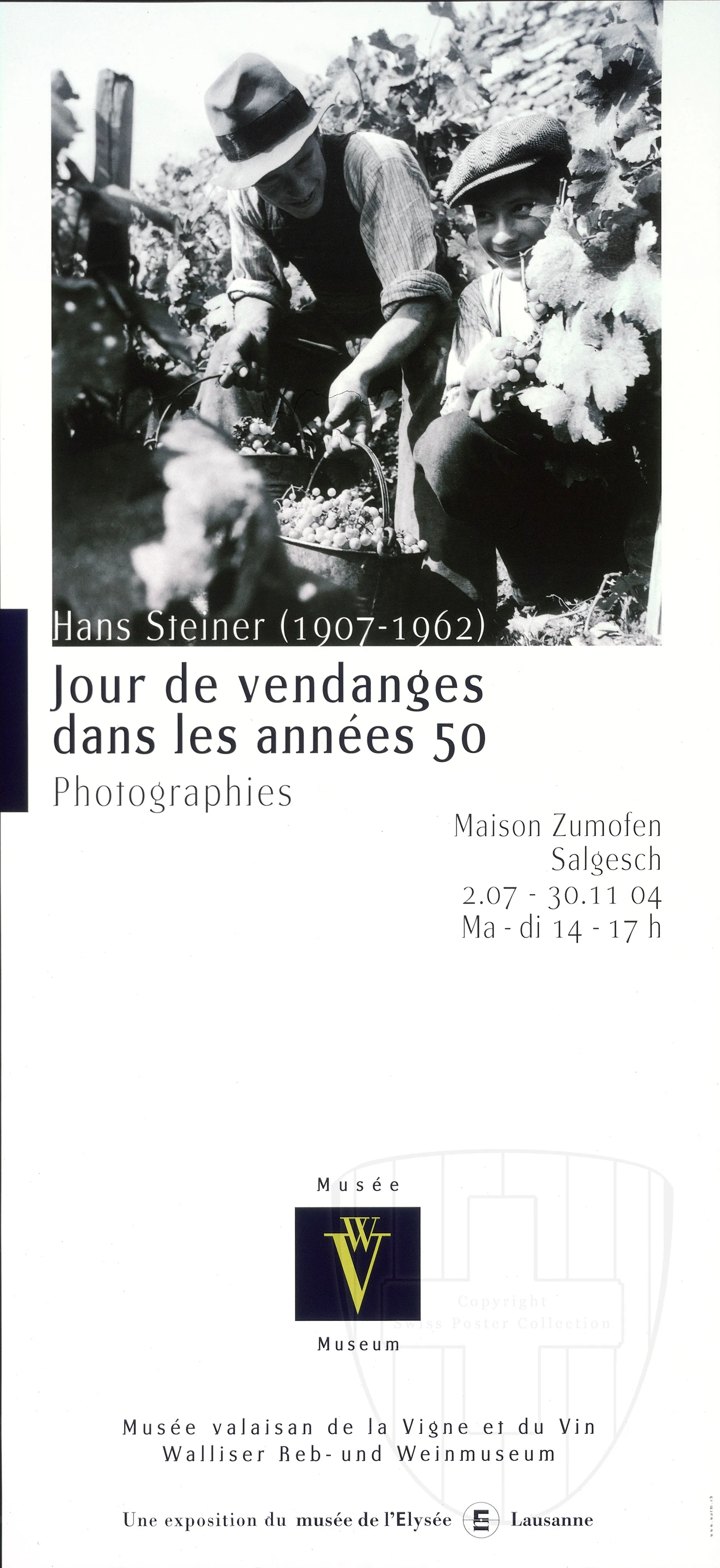Jour de vendanges dans les années 50