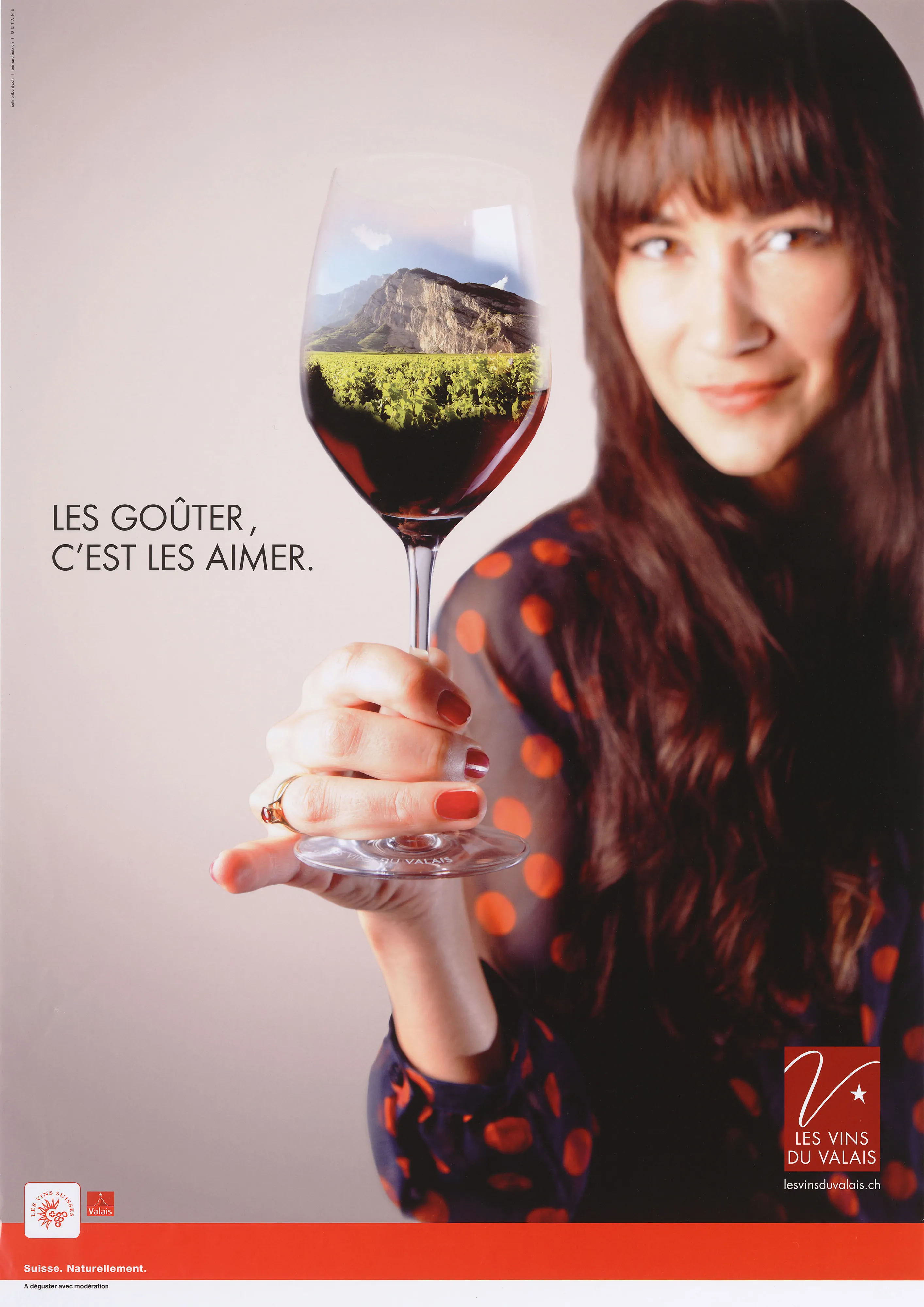 Les vins du Valais, Les goûter