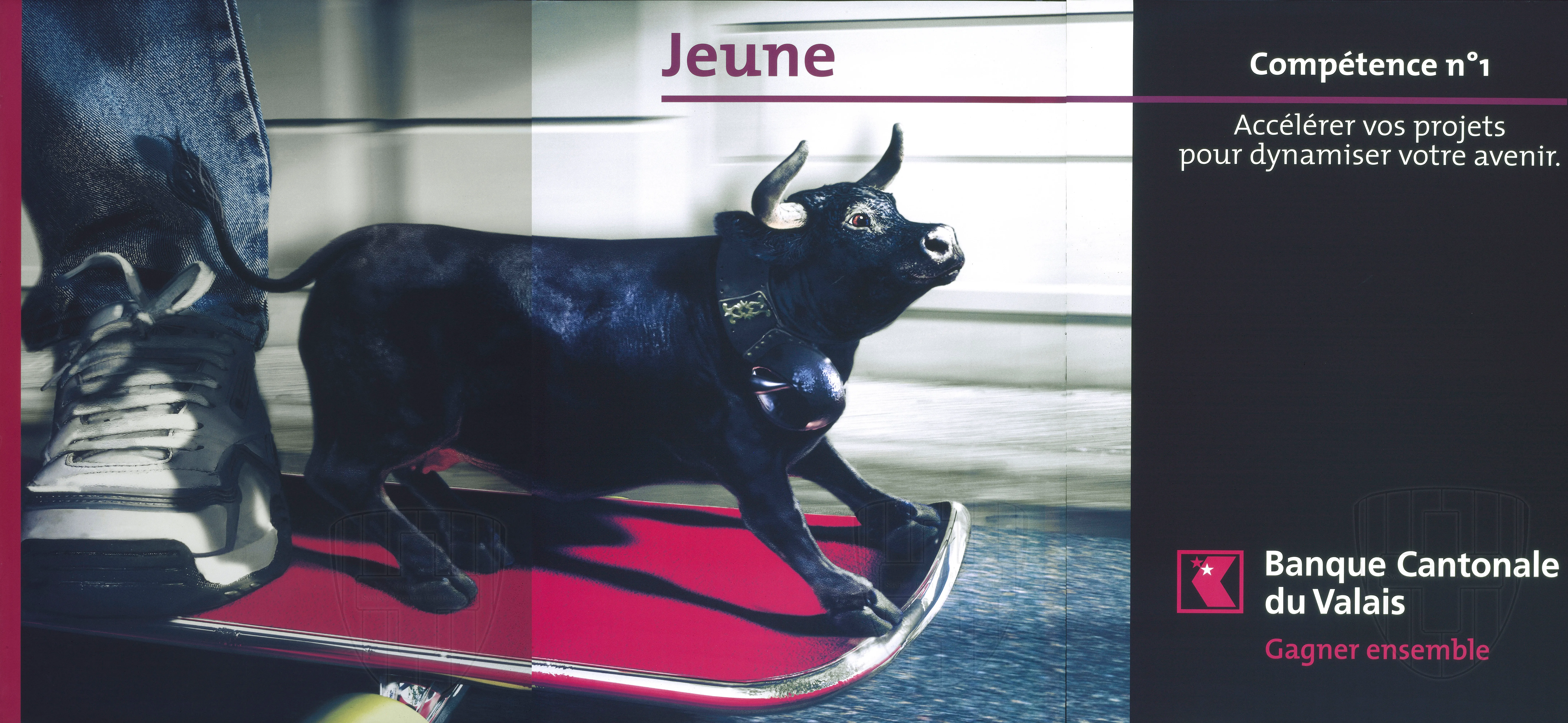 Compétence n°1. Jeune